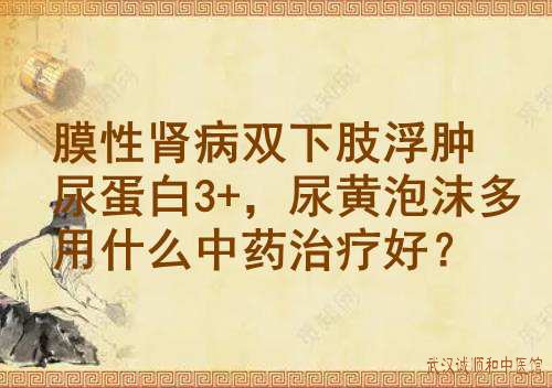 膜性肾病双下肢浮肿尿蛋白3+，尿黄泡沫多用什么中药治疗好？