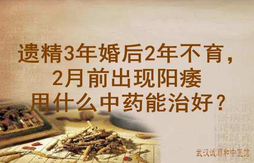 遗精3年婚后2年不育，2月前出现阳痿用什么中药能治好？