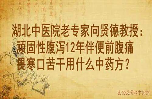 湖北中医院老专家向贤德教授：顽固性腹泻12年伴便前腹痛畏寒口苦干用什么中药方？