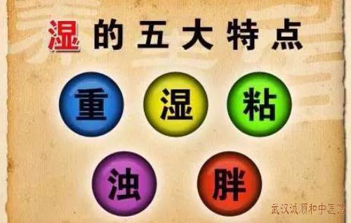 湖北厉害的中医名师向贤德教授：一到雨季身体为什么会湿气重？健脾祛湿效果好的中药方
