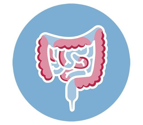 慢性结肠炎大便溏泻不成形排便不畅快腹胀反胃3年了怎么调理？