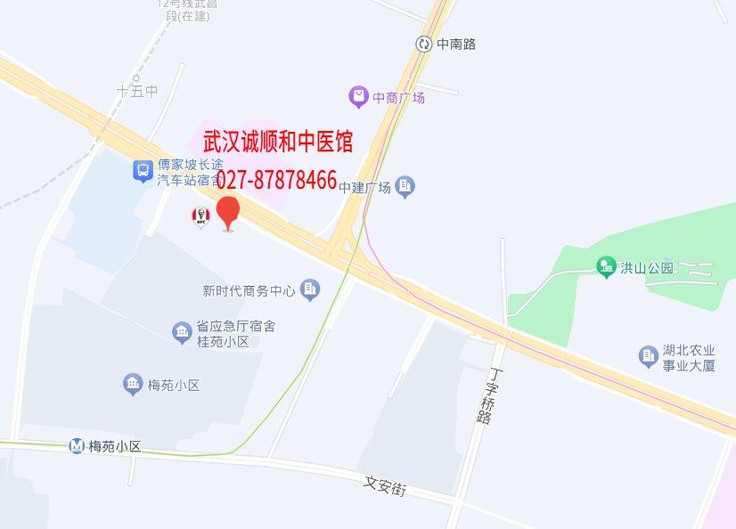 武汉诚顺和中医馆地图
